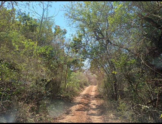 183HA FARM FOR SALE IN NELSPRUIT RURAL